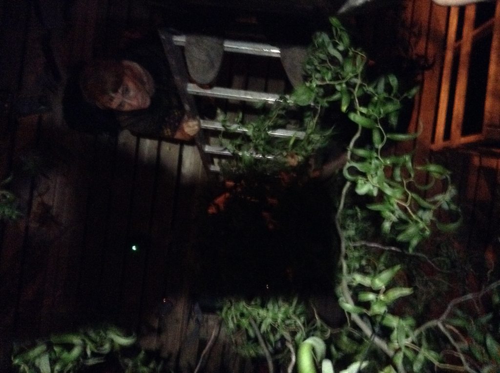 view up the ladder